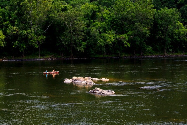 Delaware Water Gap Camping Where to Go, What to Do