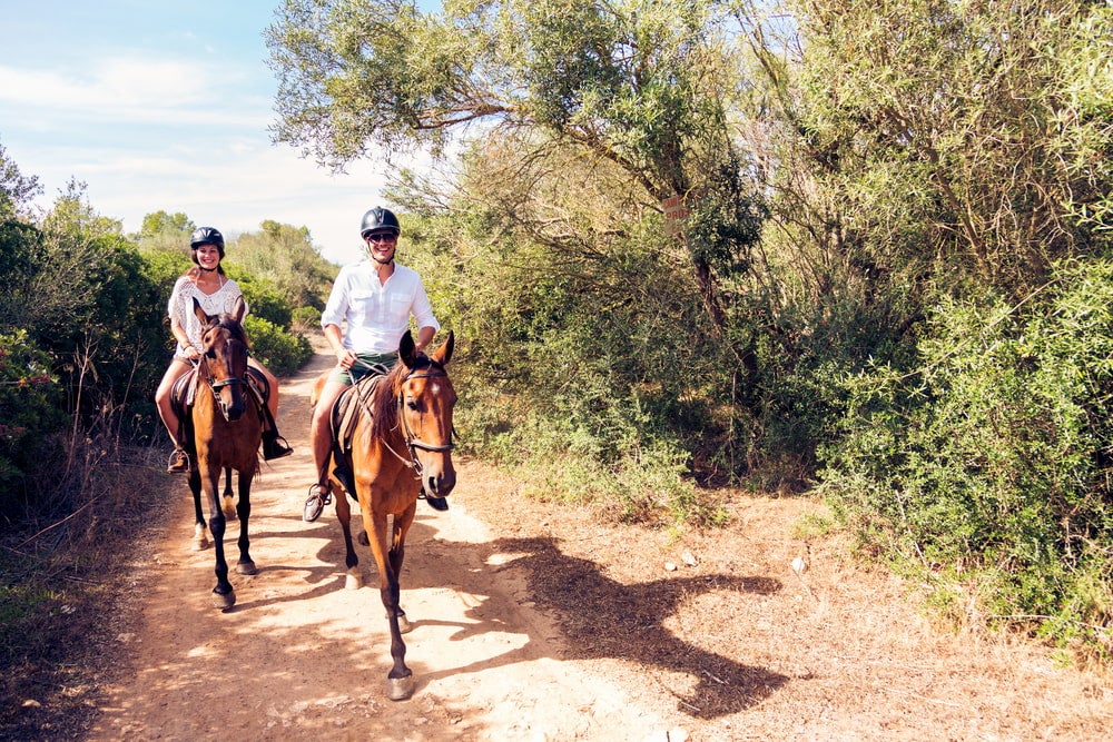 Two people riding horses on a trail next to woodlands