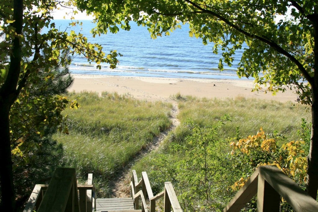 a wooden path leading to the water at indiana dunes national park