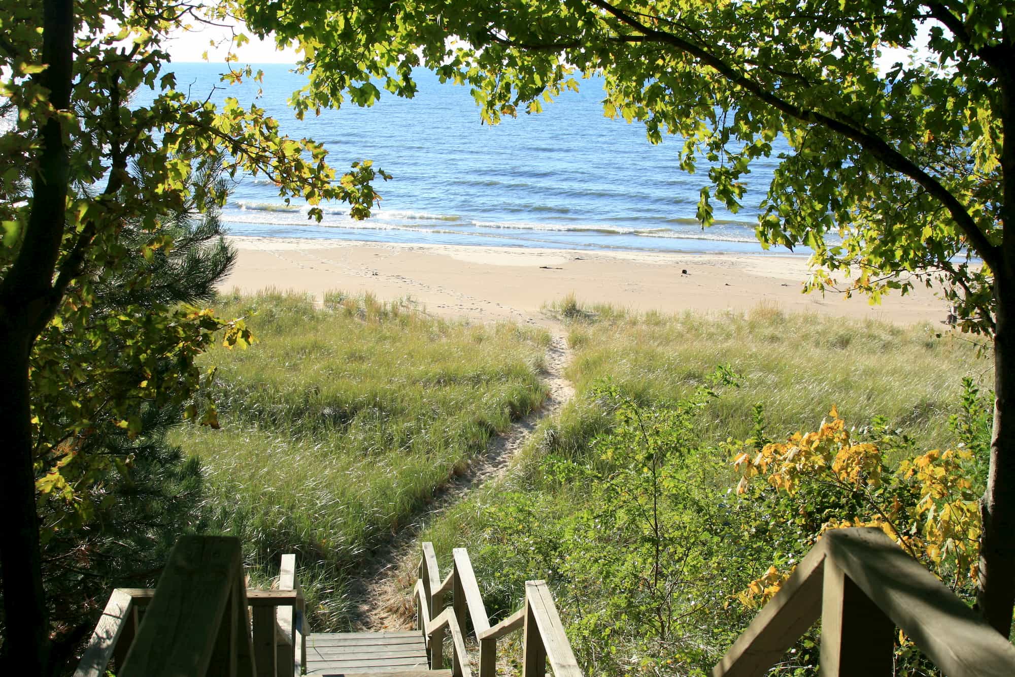 a wooden path leading to the water at indiana dunes national park