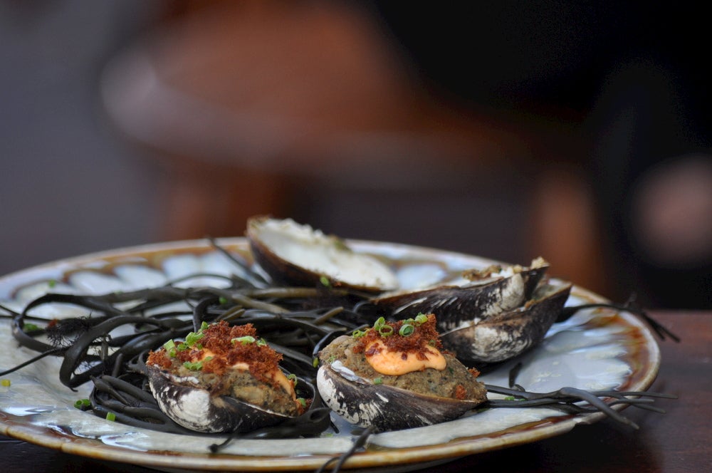 Fresh gourmet oysters in Portland.