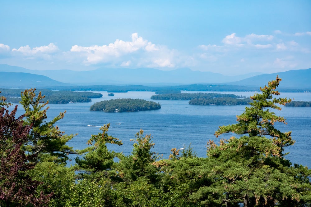 Panoramic view of lakes with green islands in them 