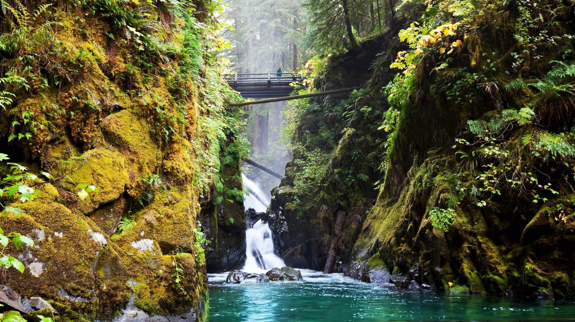 top hikes in olympic national park