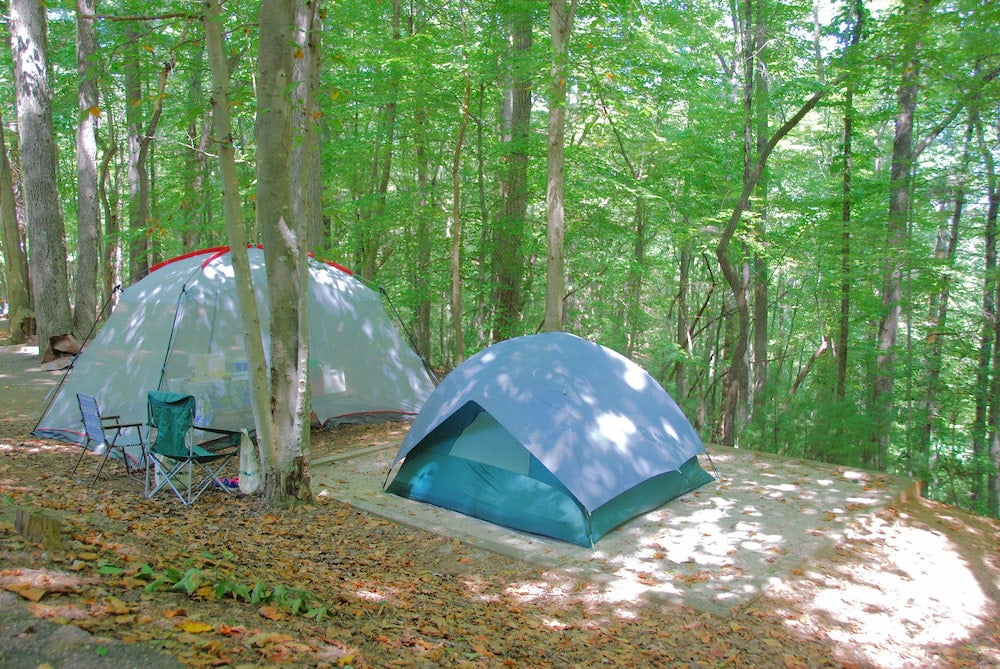 two tents on a tent site in the forest