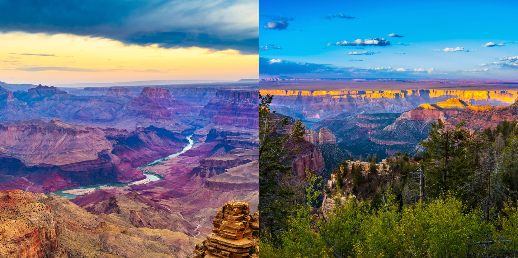 a split image of a view of the grand canyon north rim vs south rim side by side