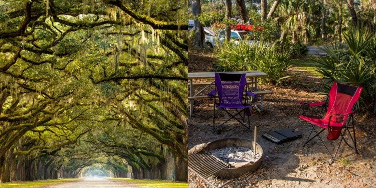 (left) looking down dirt lane through green living oaks of the south (right) 2 camp chairs around a fire pit in a campground near savannah ga