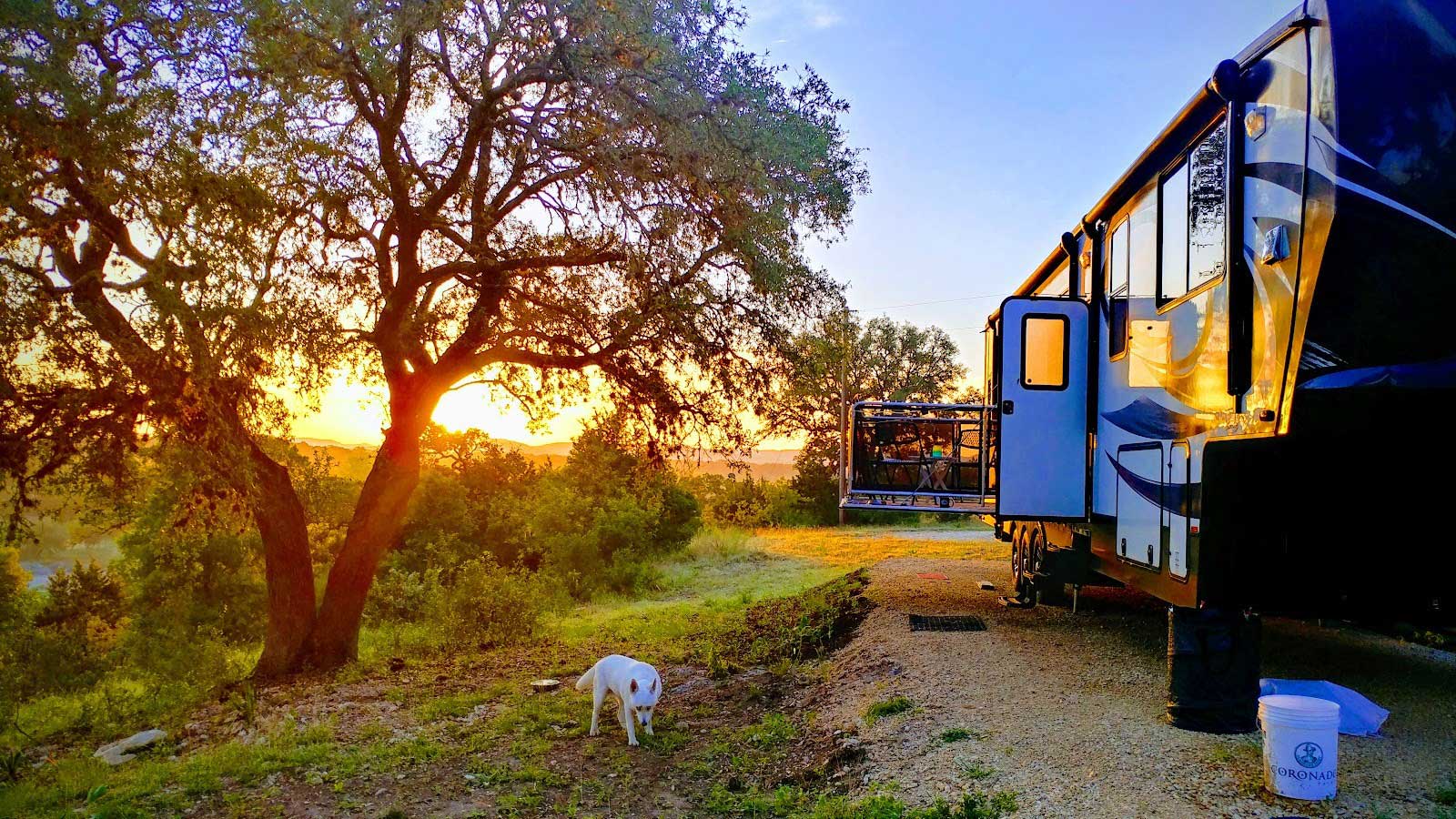 a dog near a parked RV in texas while the sun is setting in the background