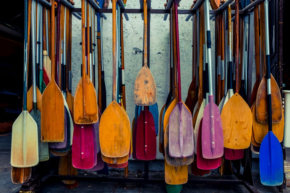 Colorful canoe paddles hanging on a wall 