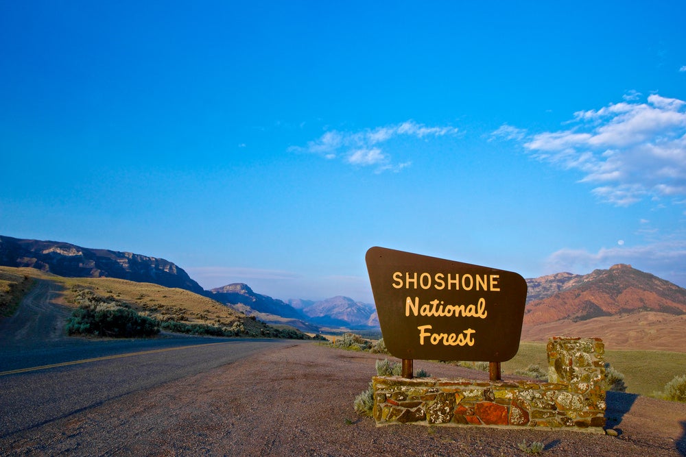 A sign for the entrance of the shoshone national forest on a roadside in wyoming