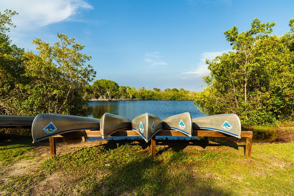 a row of canoes near a spring in florida's Collier-Seminole State Park