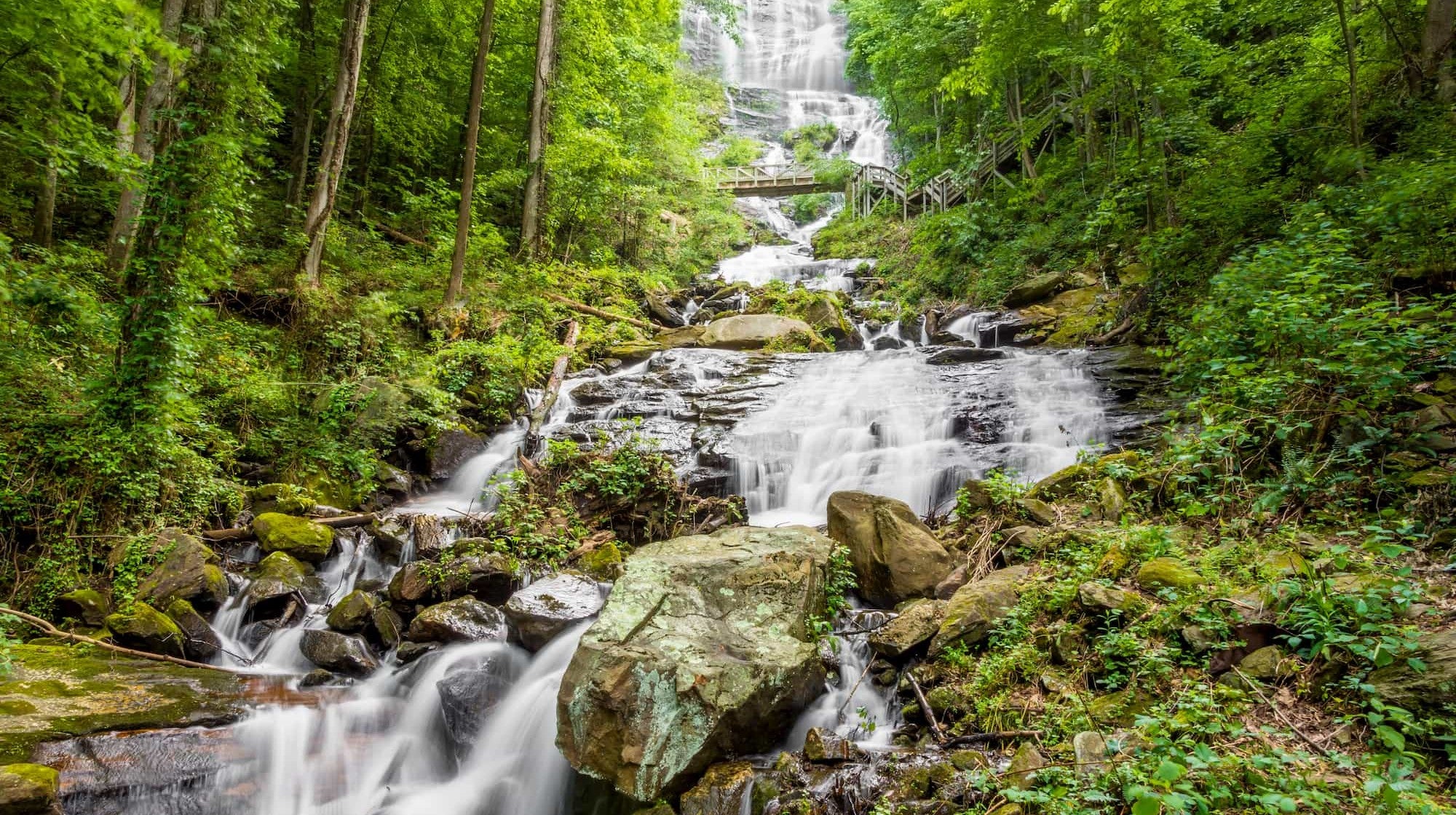 Amicalola Falls State Park: Hiking and Camping Guide