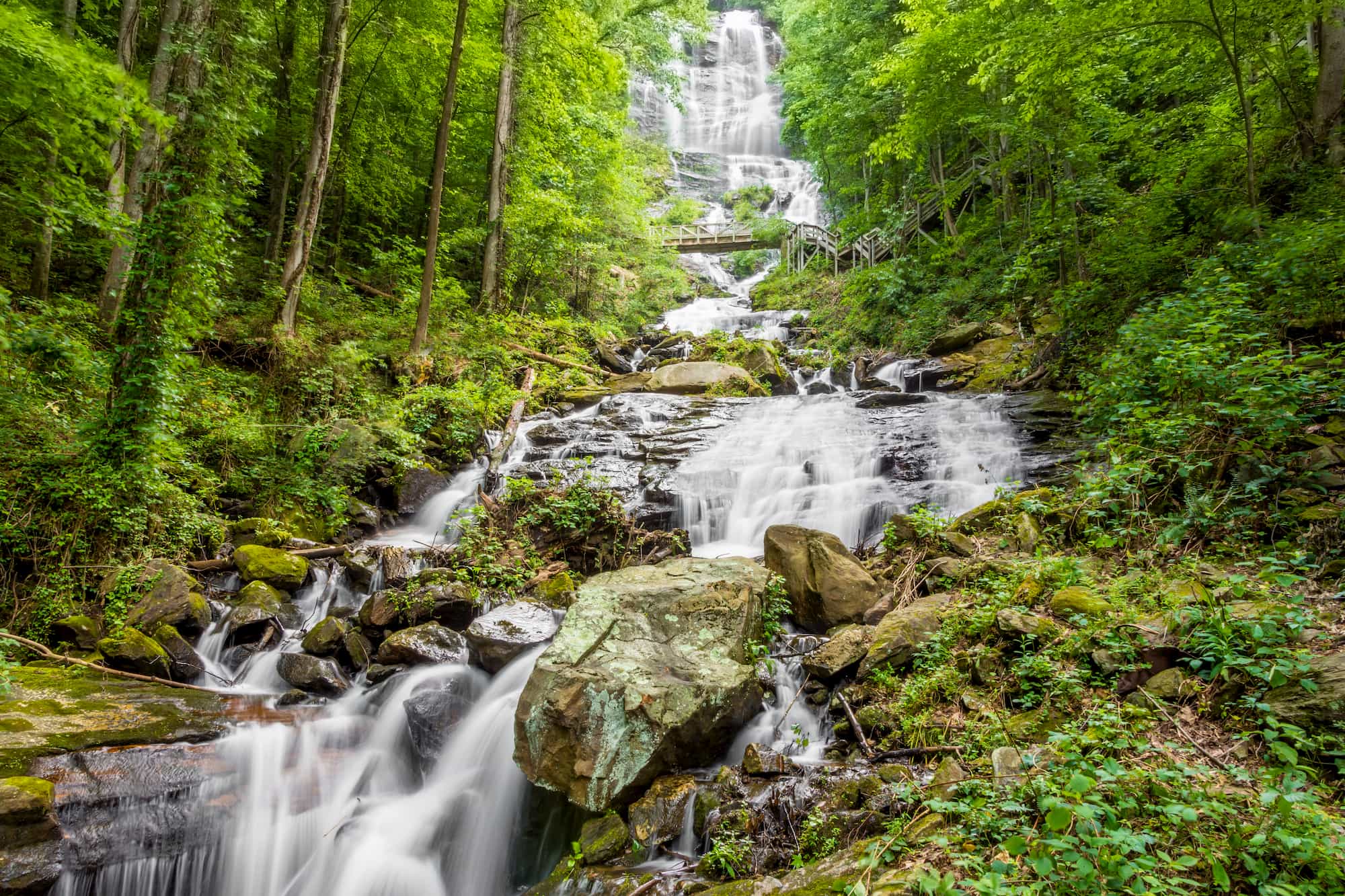 Greenery surrounds rushing waterfall in amicalola falls state park