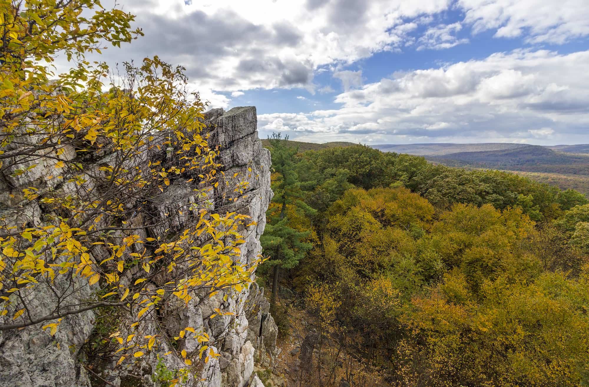 Which State Has The Longest Part Of The Appalachian Trail