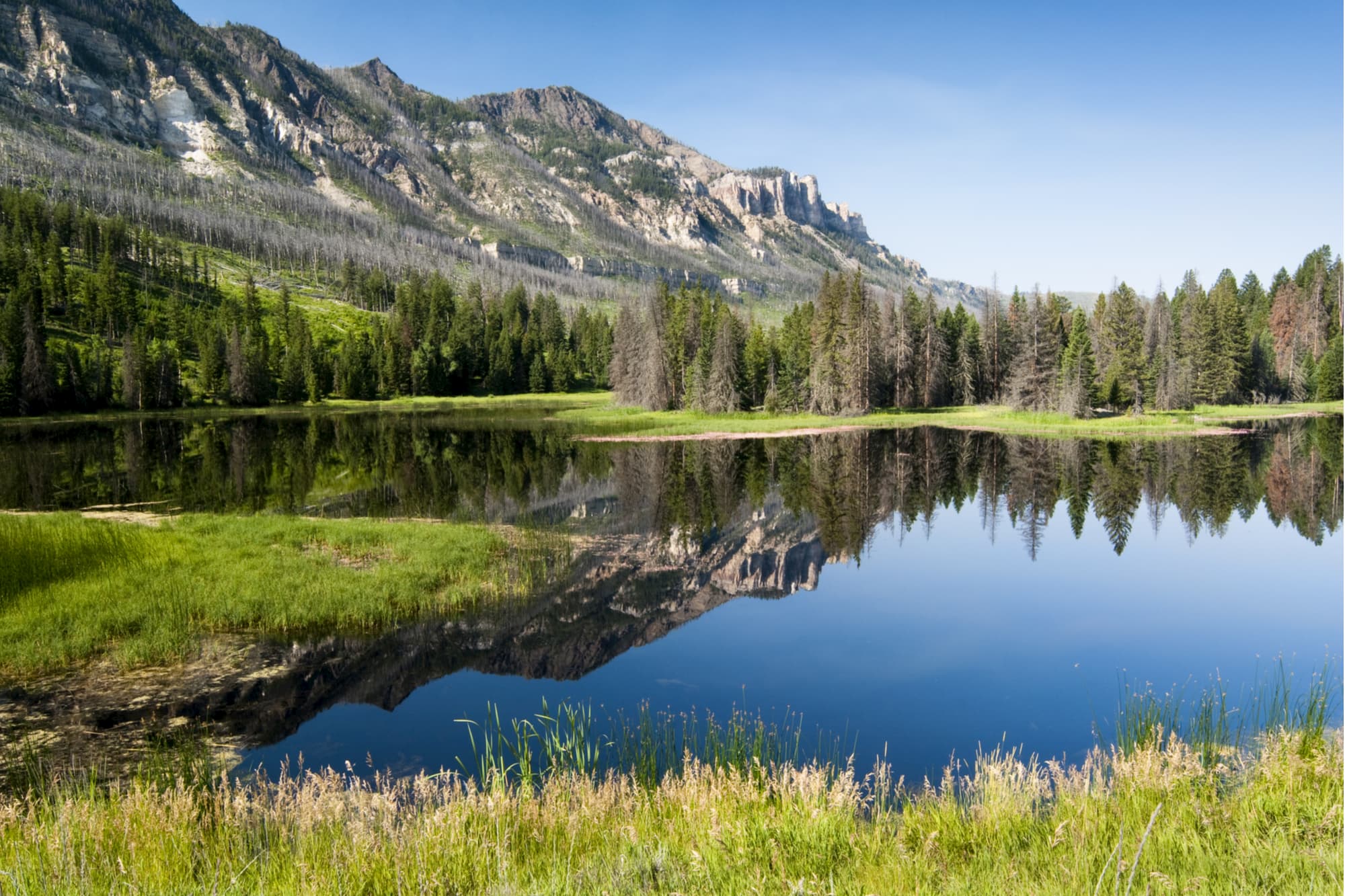 an alpine lake in the shoshone national forest