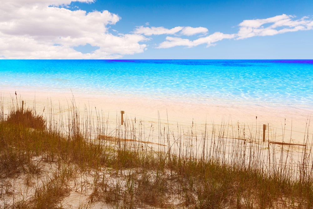 a white sand dune overlooking a blue ocean in henderson state park