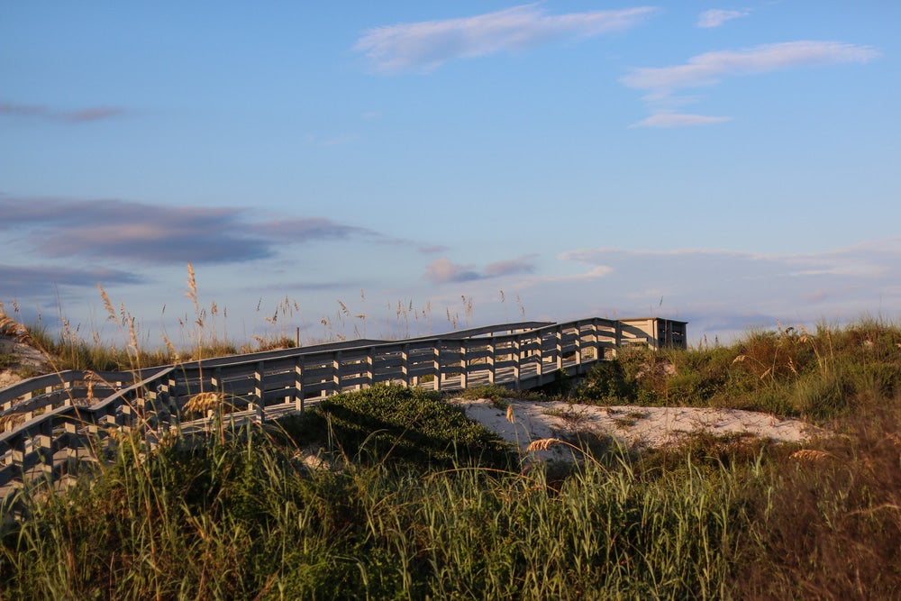 a boardwalk over a sand dune at dusk in anastasia state park in florida