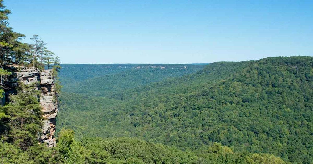 Panoramic view of trees and hills with rocks 
