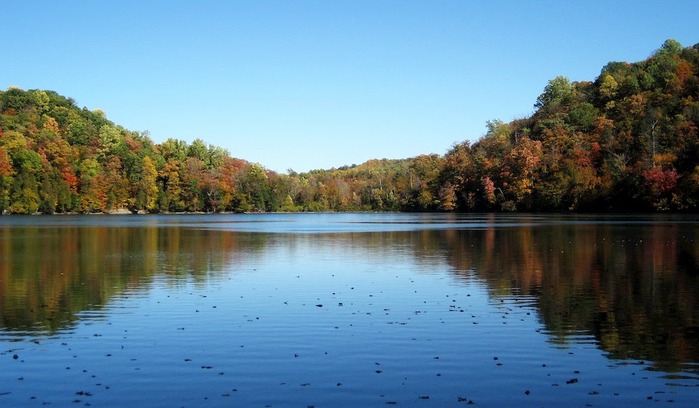 Reflection of trees on lake 