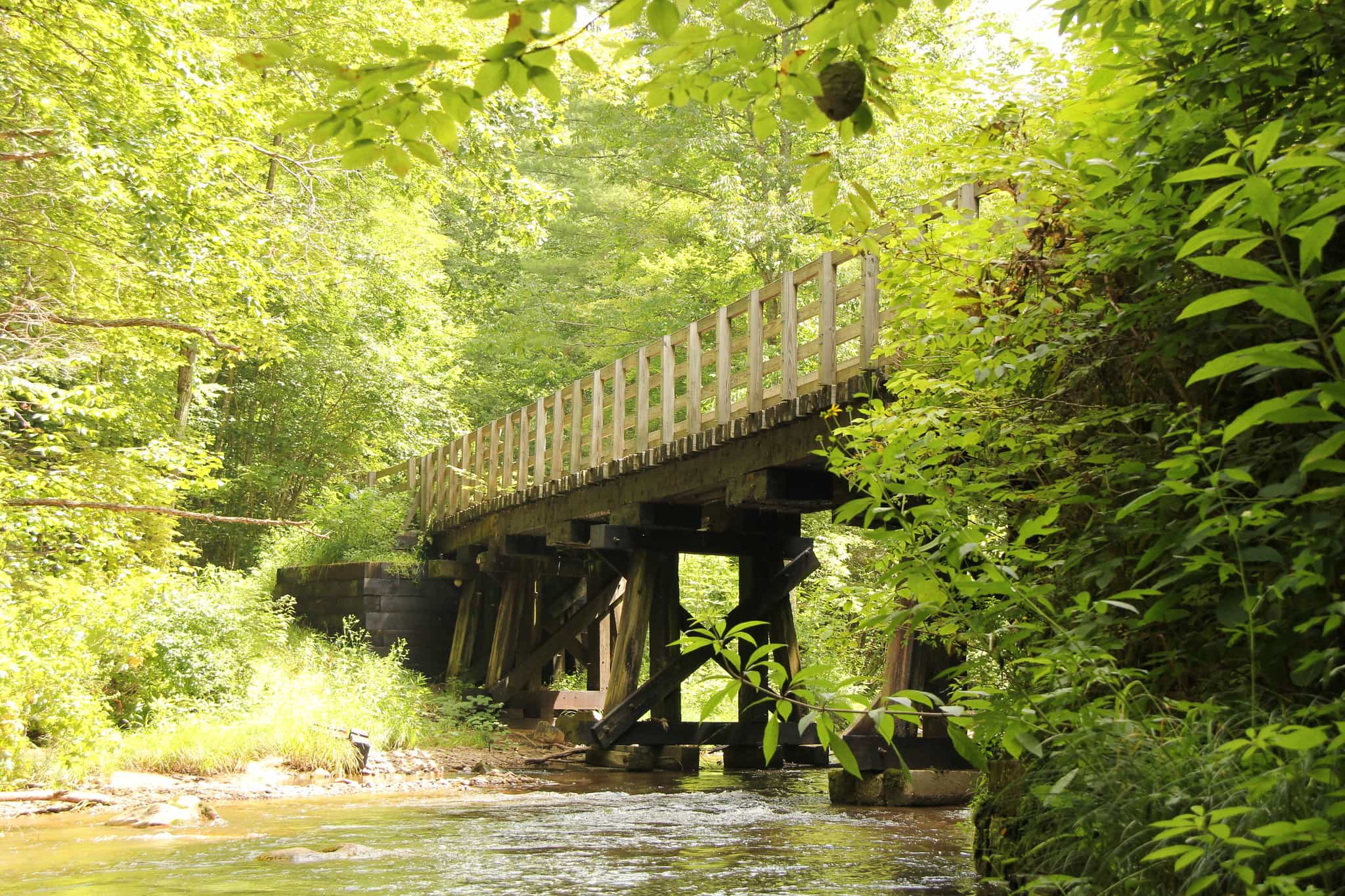 Experience Appalachian Adventure on the Virginia Creeper Trail