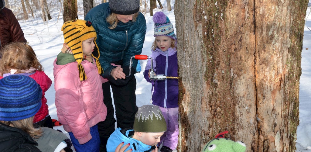 Children and their teacher outside in winter tapping a maple tree.