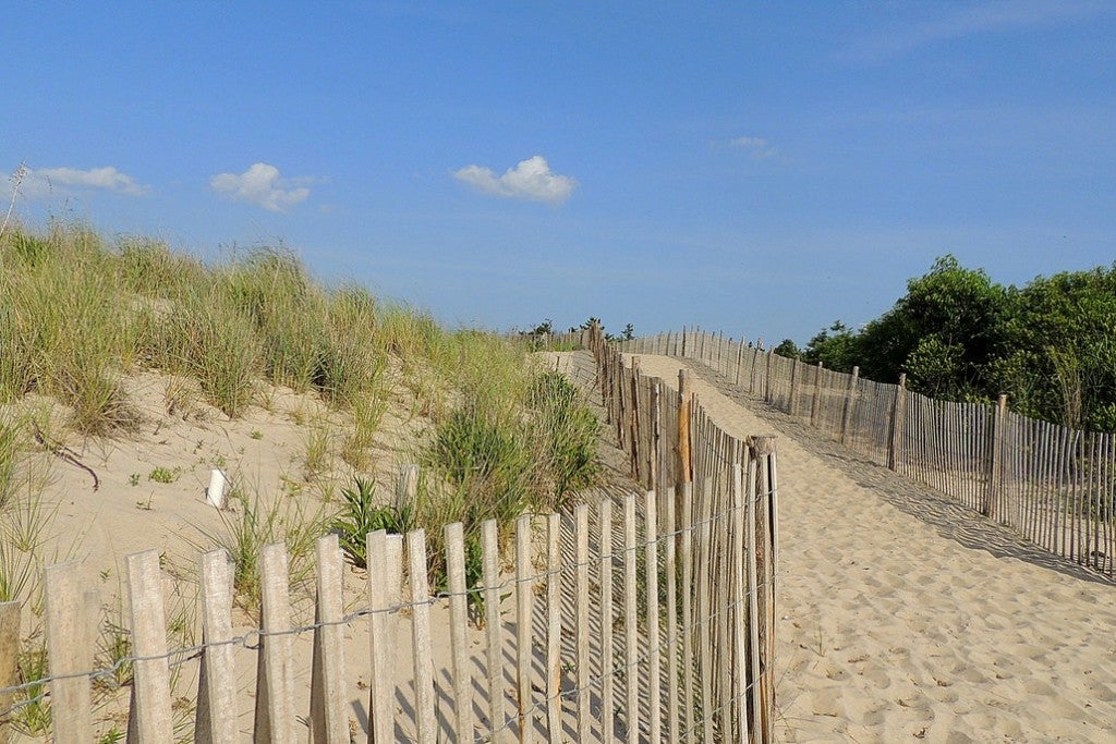 a path leading from the land to the beach over sand dunes in delaware