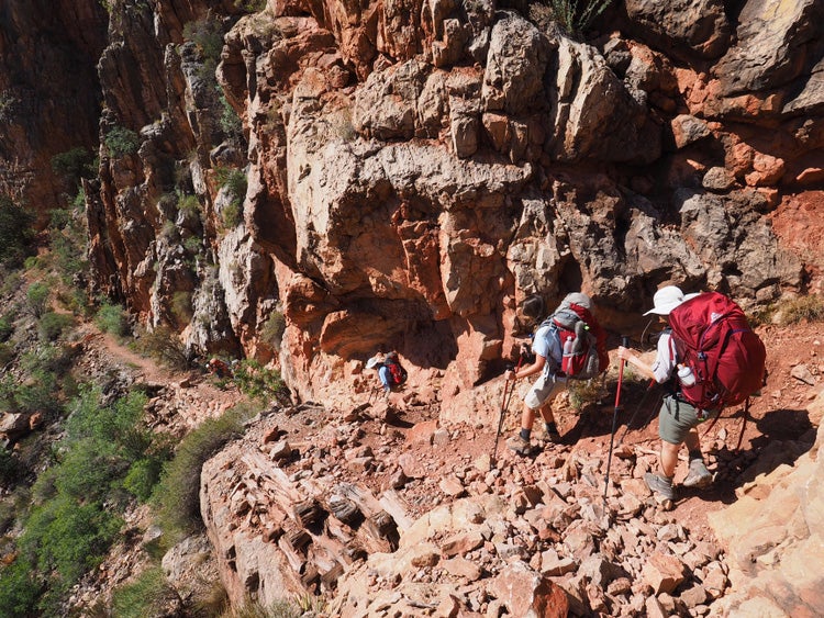 Grand Canyon Grandview Trail Wanderer