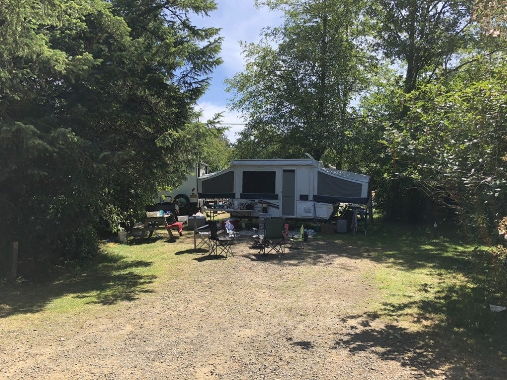 a pop up trailer in a shaded campsite in oregon