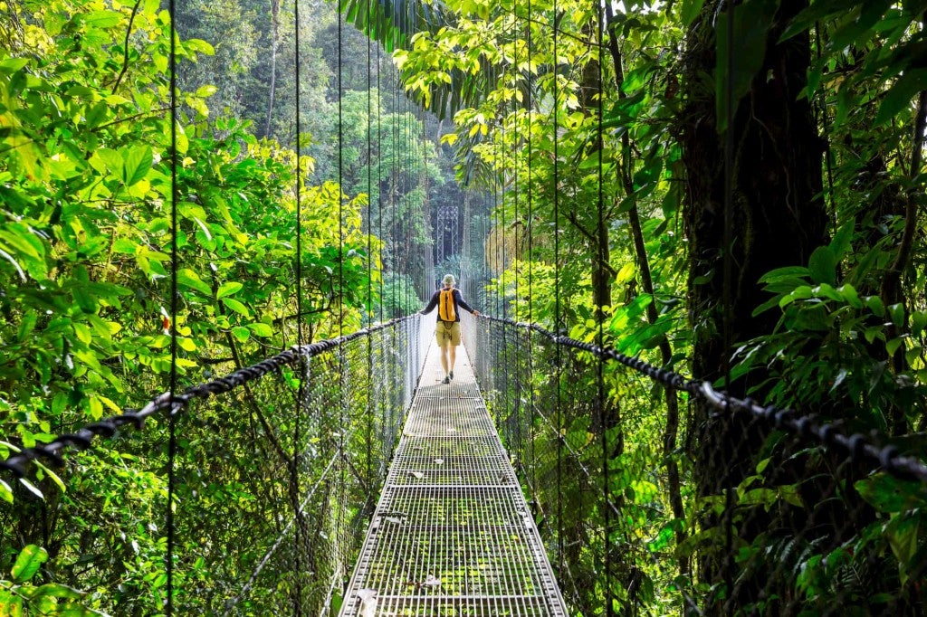 Man walking on fence surrounding by jungle