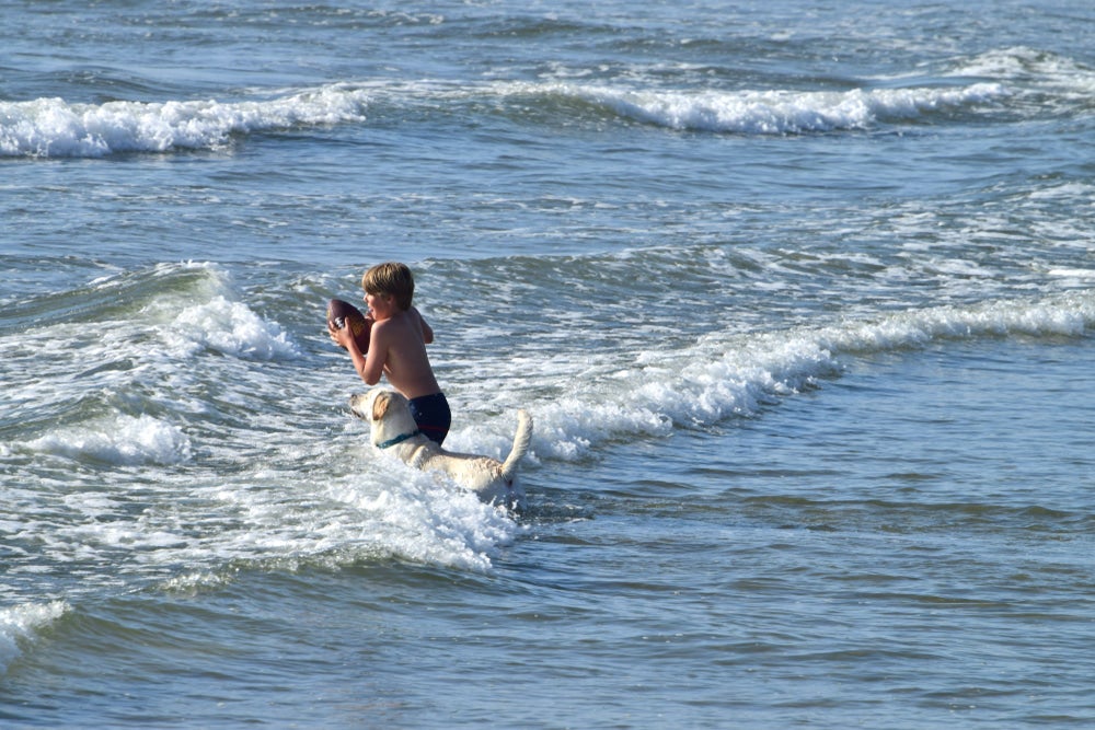 a child running into the beach water with his dog