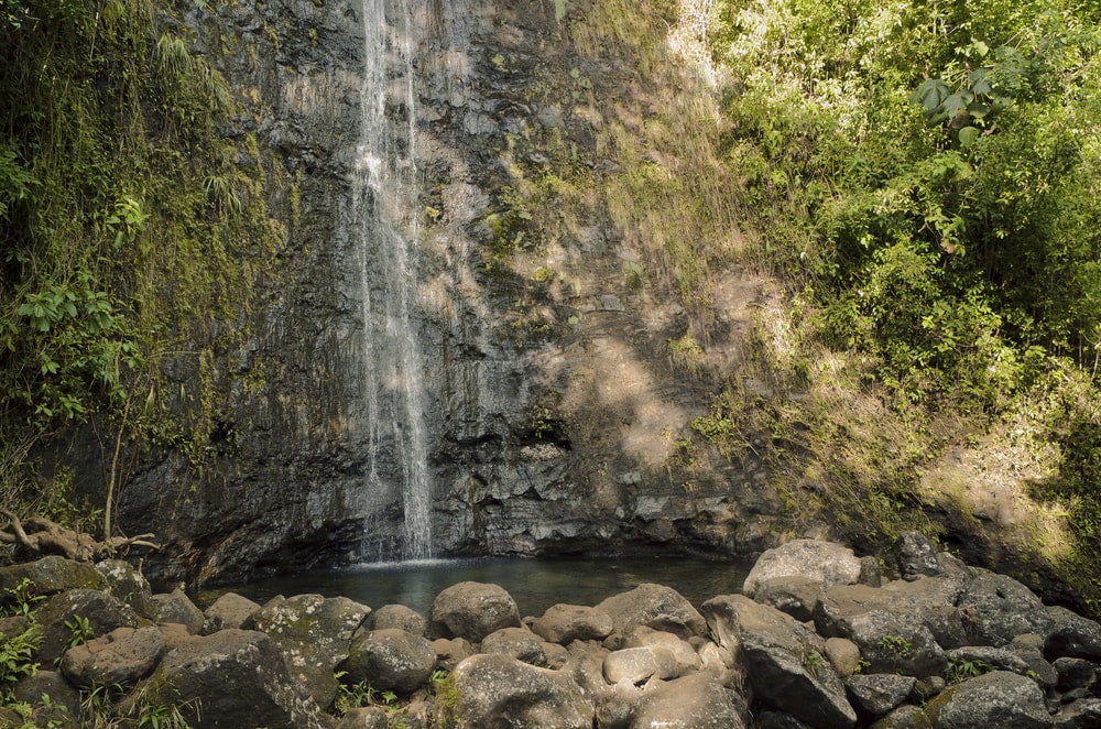 manoa falls emptying into a pond seen from oahu hikes