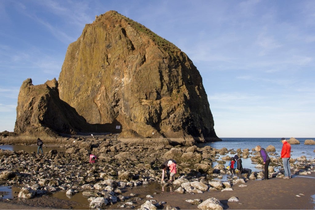 visitors walk up to haystack rock at an extremely low tide in oregon cannon beach