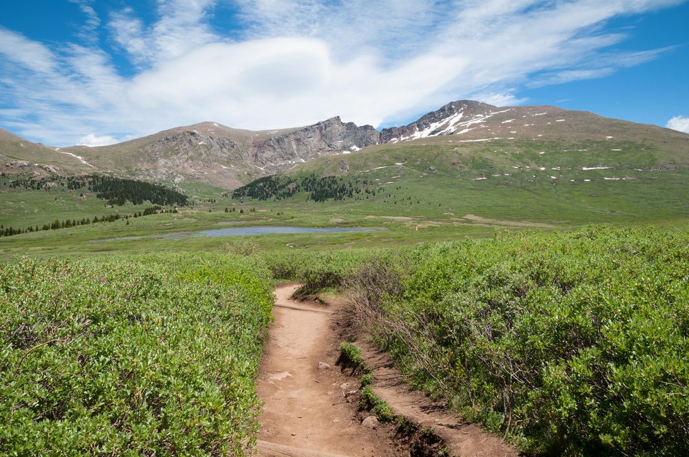 trail leading up to handies peak in colorado in the summer