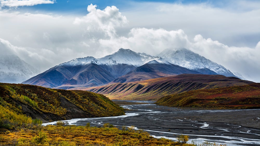 the tolkot river flowing through denali national park in alaska