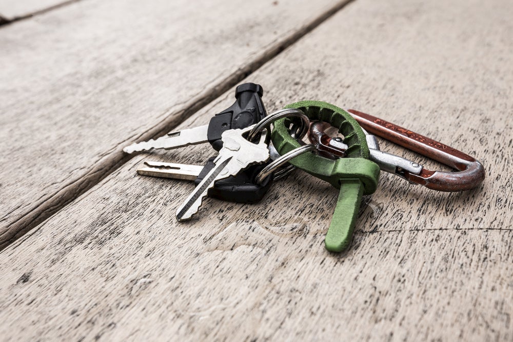 Keys clipped to a carabiner.