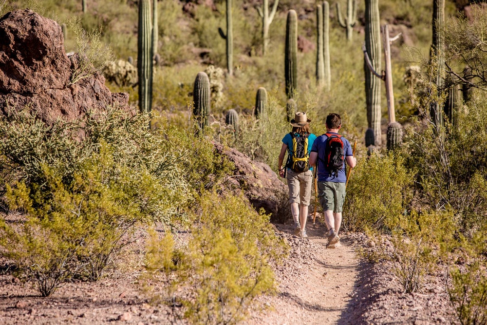 Two people hiking in an Arizona desert with cacti nearby