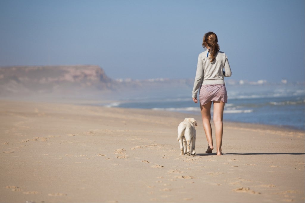 a woman walking with a dog on the beach off leash