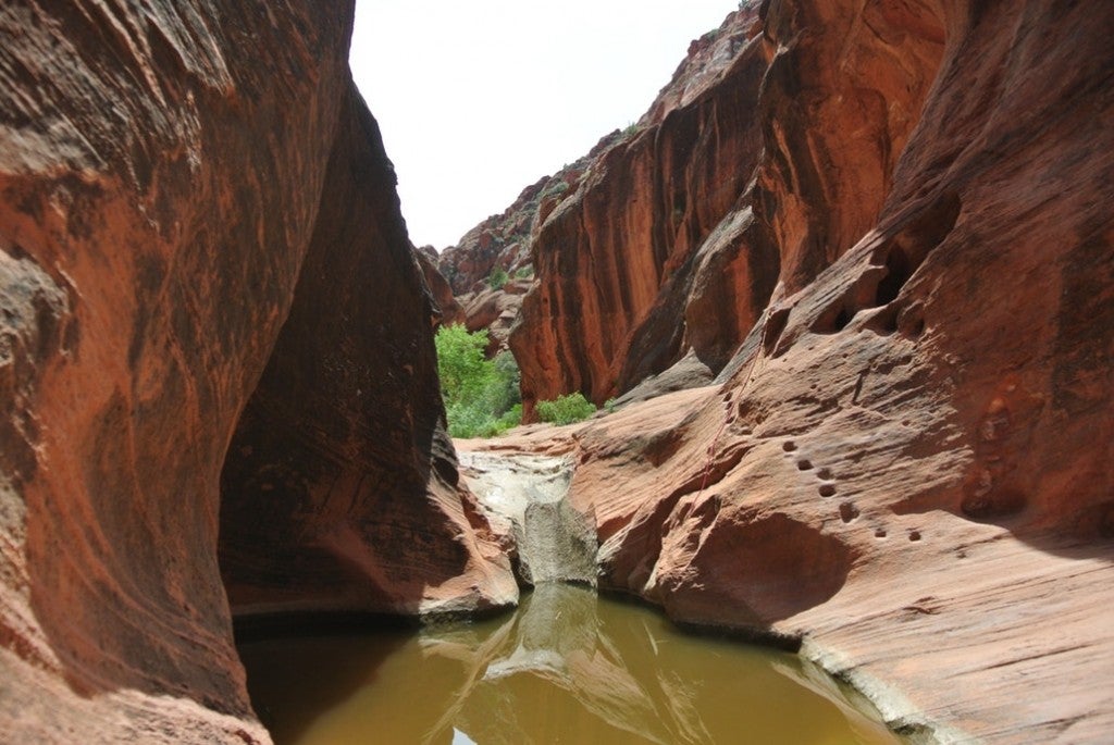 a river running through a slot canyon in the red cliffs conservation area