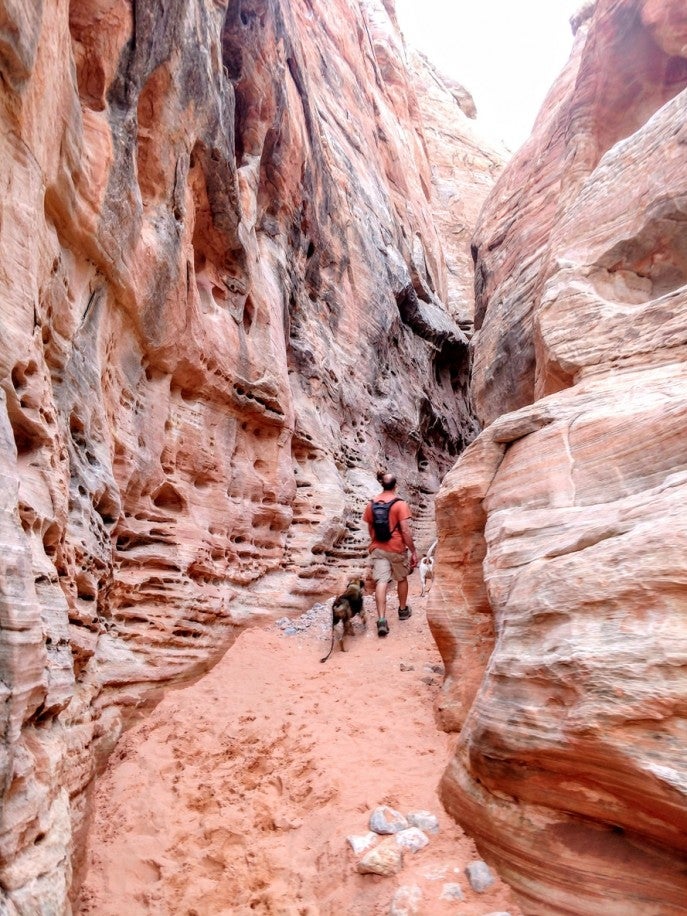How to Adventure From Las Vegas to Zion National Park