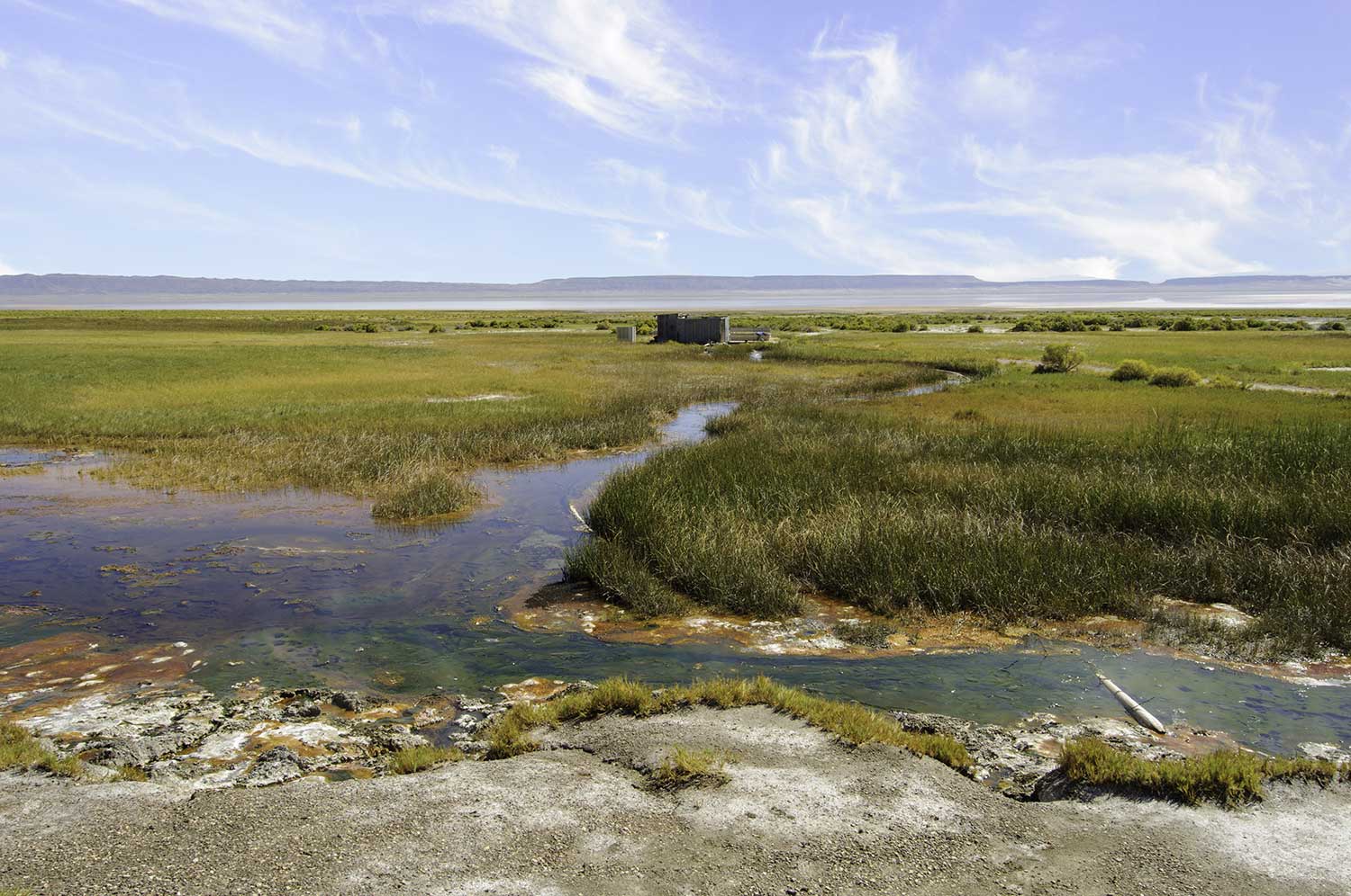 hot springs in a field