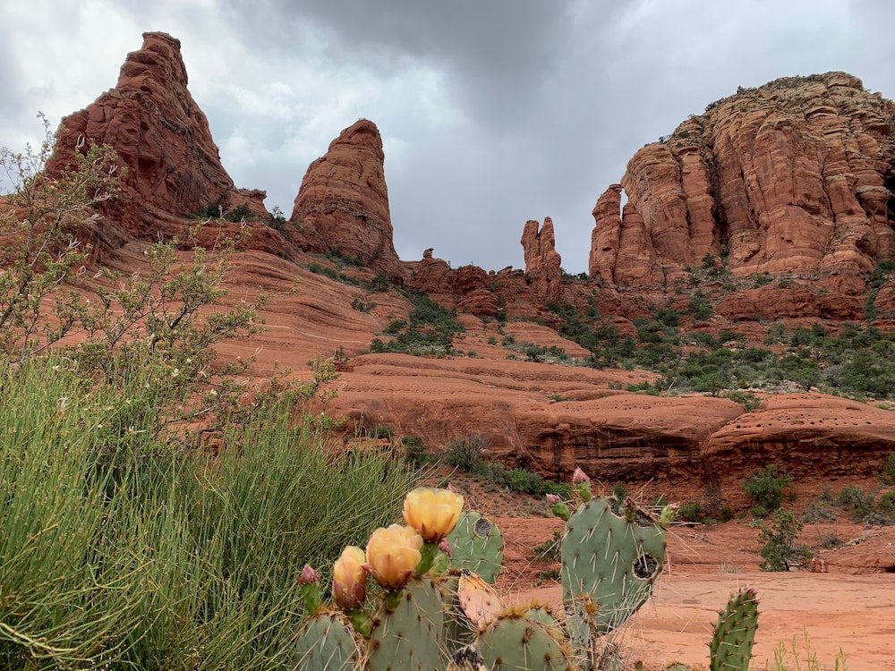 Red rock formations with cactus and flowers in foreground 