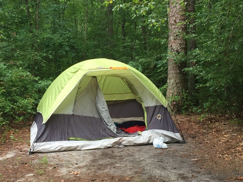 green tent assembled in Wharton State Forest campsite, photo from a camper on The Dyrt