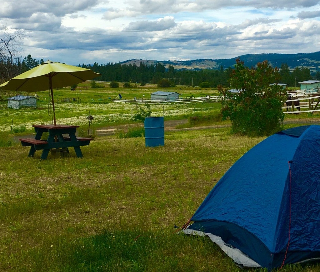 a tent on a field near a farm