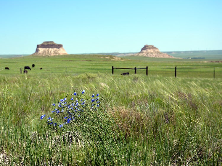 buttes in pawnee grassland colorado