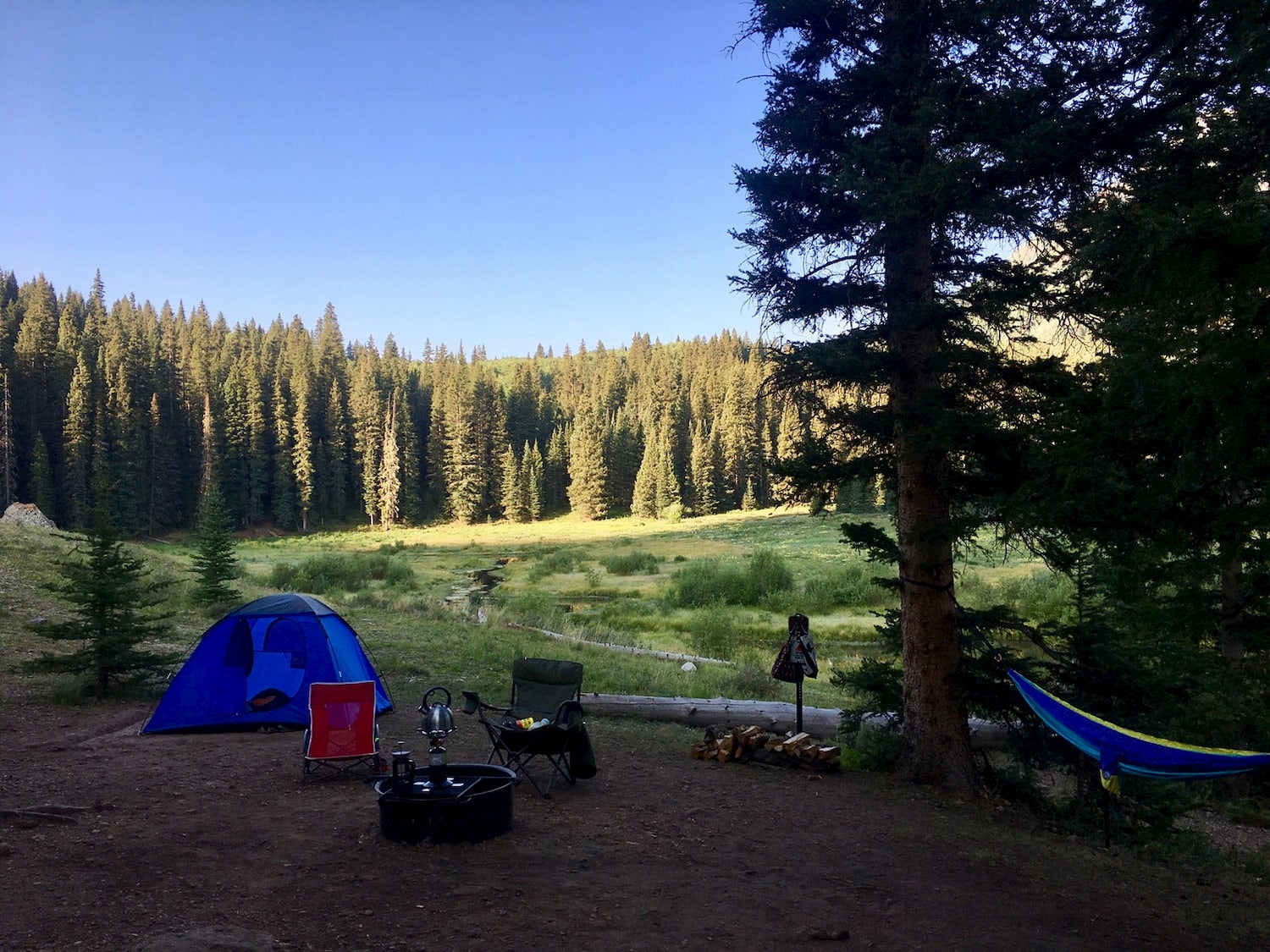 Dawn at wooded campsite with tent and hammock.