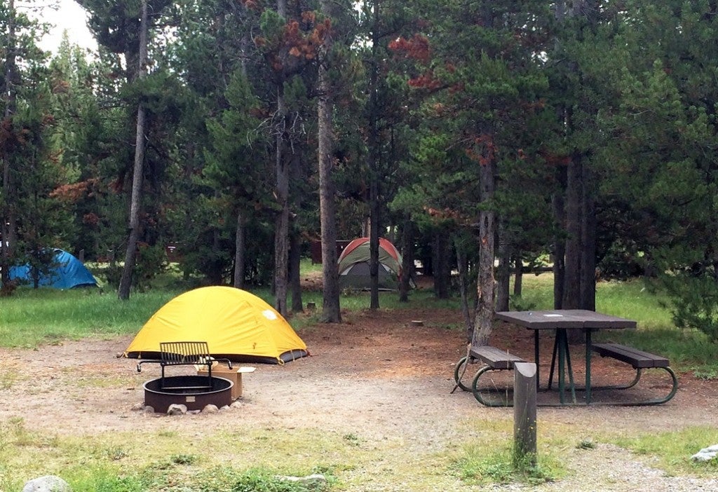 a campsite in yellowstone with a yellow tent