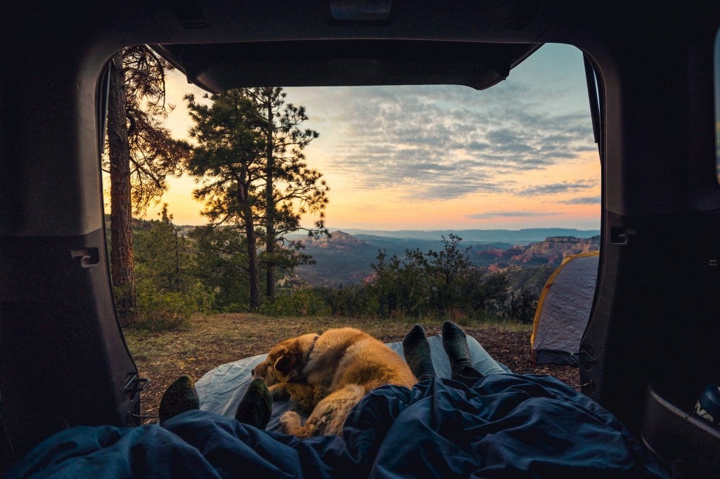 Two people and dog sharing camping blanket in the back seat of a car in the mountains.