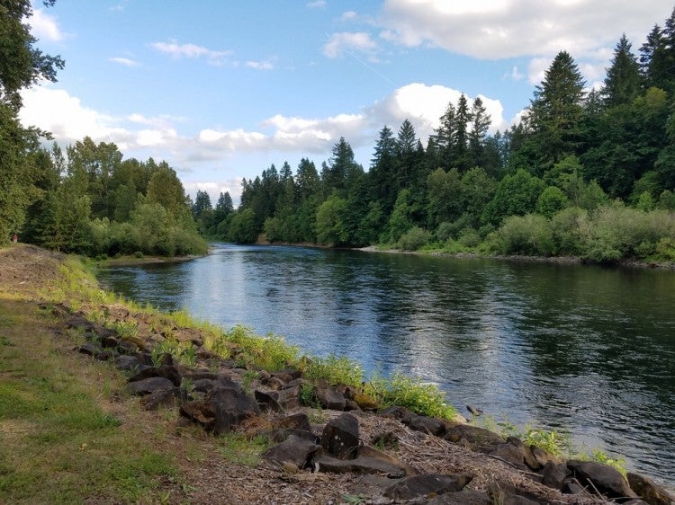 How and Where to Go River Tubing This Summer