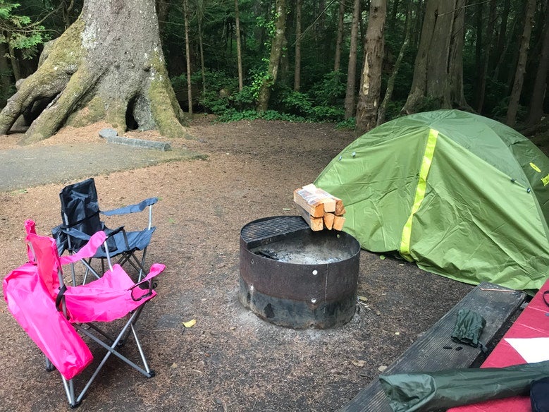 tent and camp chairs set up at Cape Lookout State Park campsite in Oregon, photo from a camper on The Dyrt