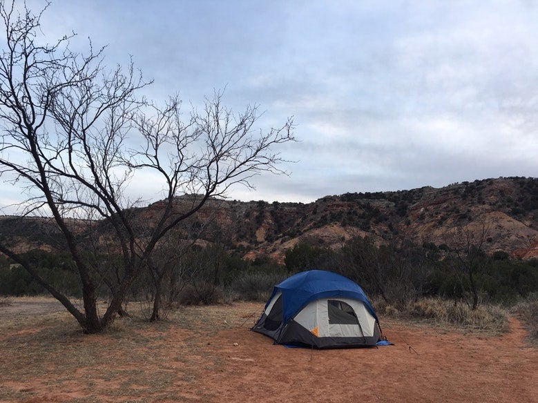 single blue tent next to bare tree in Texas' Palo Duro Canyon campsite, photo from a camper on The Dyrt