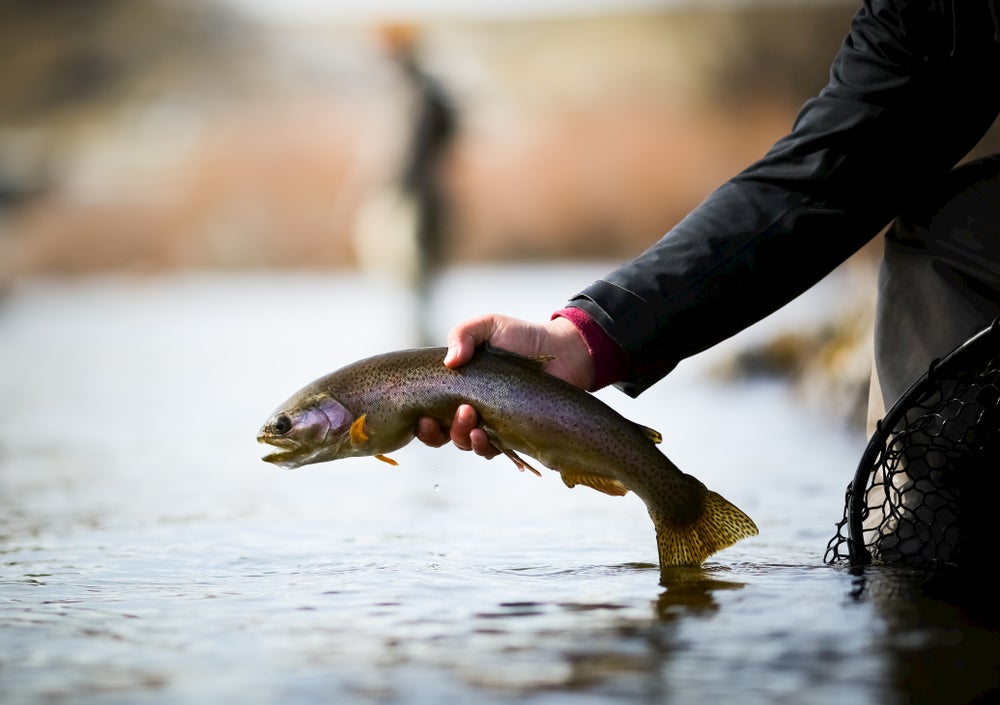 Person holding fish with net in hand 